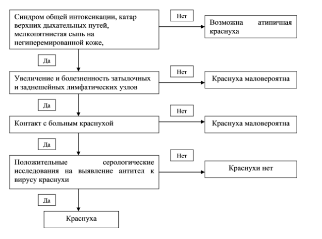 Краснуха - симптоми у дітей і дорослих, лікування, щеплення і фото